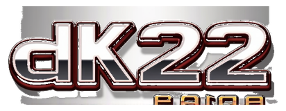 dk222 game logo
